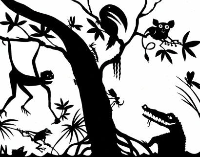 biodiversity